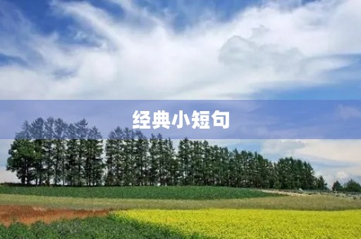 经典小短句，经典小短句子
