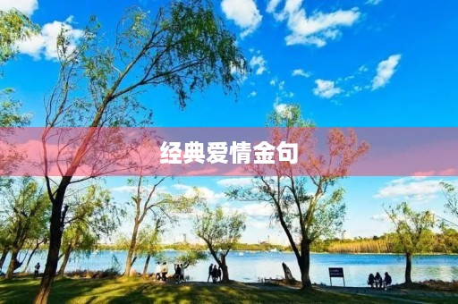 经典爱情金句(经典爱情金句大全)