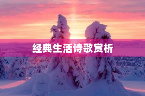 经典生活诗歌赏析