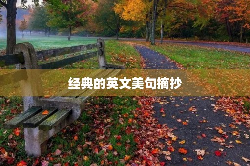 经典的英文美句摘抄，经典的英文美句摘抄短句