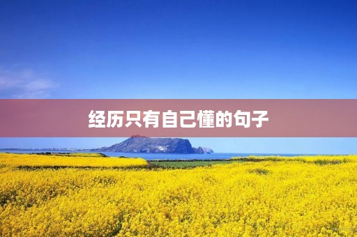 经历只有自己懂的句子(经历只有自己懂的句子图片) 经历只有自己懂的句子(经历只有自己懂的句子图片)