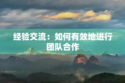 经验交流：如何有效地进行团队合作