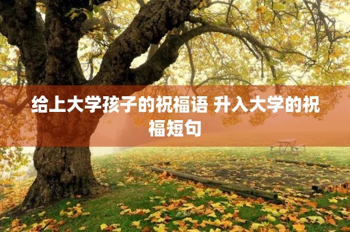 给上大学孩子的祝福语 升入大学的祝福短句