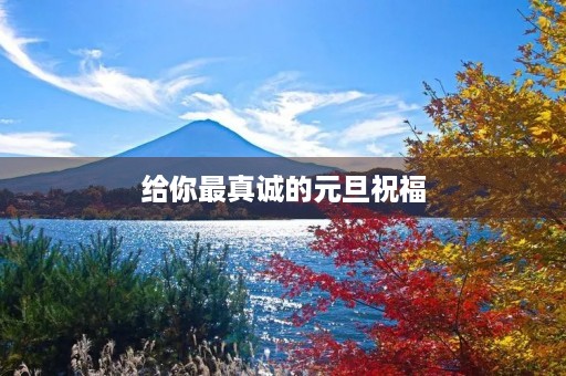给你最真诚的元旦祝福
