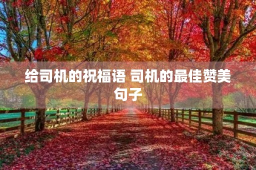 给司机的祝福语 司机的最佳赞美句子