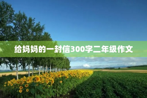 给妈妈的一封信300字二年级作文