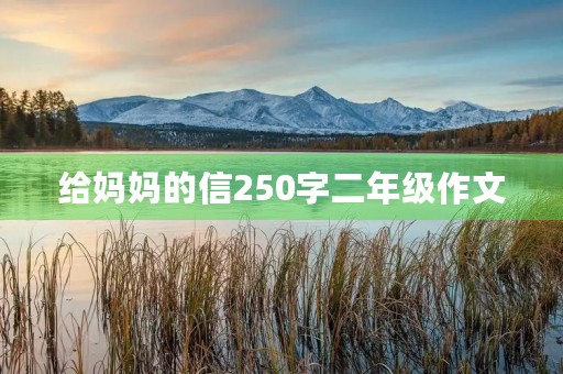 给妈妈的信250字二年级作文
