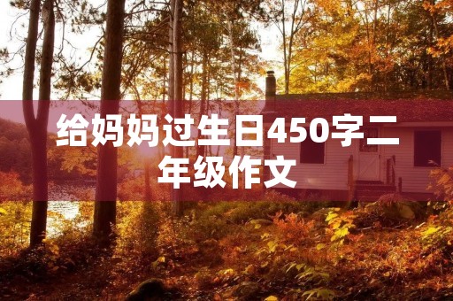 给妈妈过生日450字二年级作文