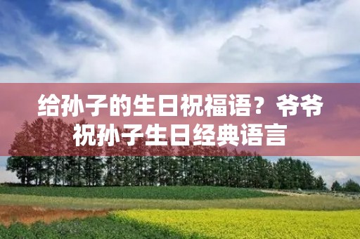 给孙子的生日祝福语?爷爷祝孙子生日经典语言