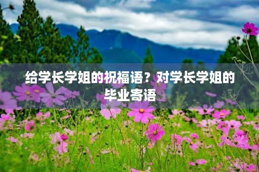 给学长学姐的祝福语?对学长学姐的毕业寄语