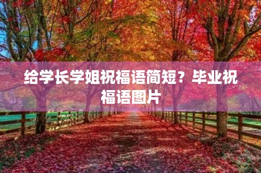 给学长学姐祝福语简短?毕业祝福语图片