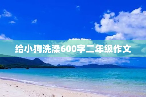 给小狗洗澡600字二年级作文