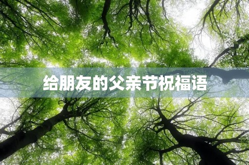 给朋友的父亲节祝福语(父亲节给父亲的话简单)