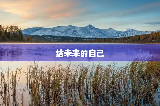 给未来的自己 给未来的自己