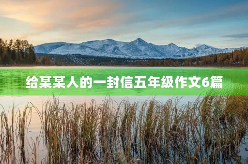 给某某人的一封信五年级作文6篇