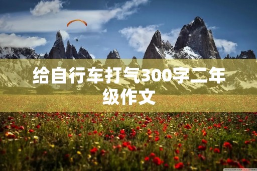 给自行车打气300字二年级作文