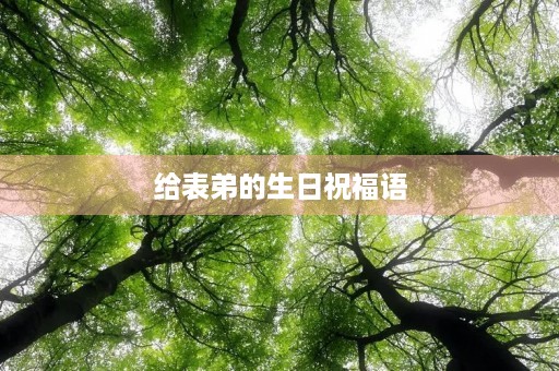 给表弟的生日祝福语,表弟生日快乐 简短祝福