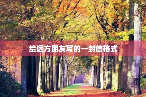 给远方朋友写的一封信格式