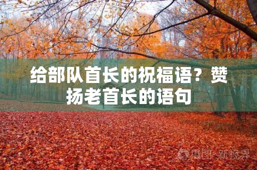 给部队首长的祝福语？赞扬老首长的语句