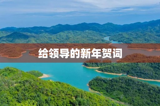 给领导的新年贺词