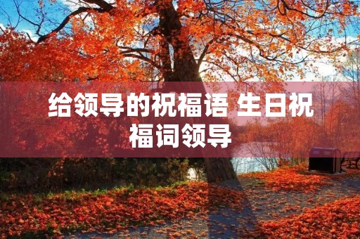 给领导的祝福语 生日祝福词领导