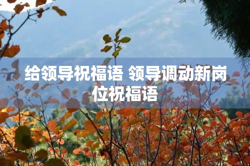 给领导祝福语 领导调动新岗位祝福语