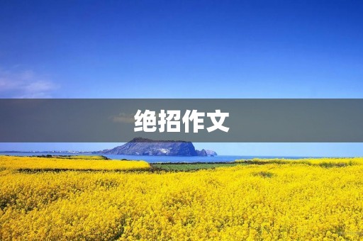 绝招作文