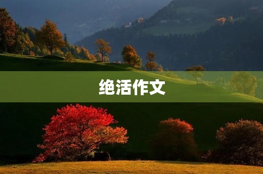 绝活作文 绝活作文