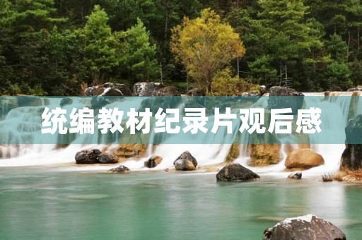 统编教材纪录片观后感