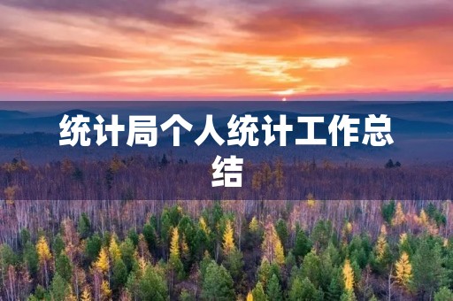 统计局个人统计工作总结 统计局个人统计工作总结