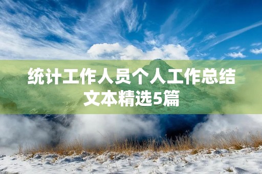 统计工作人员个人工作总结文本精选5篇