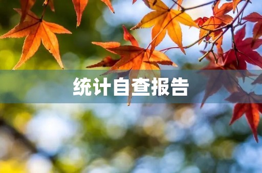 统计自查报告