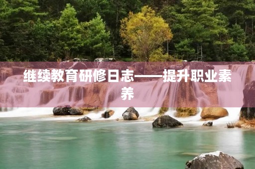 继续教育研修日志——提升职业素养，实现职业发展