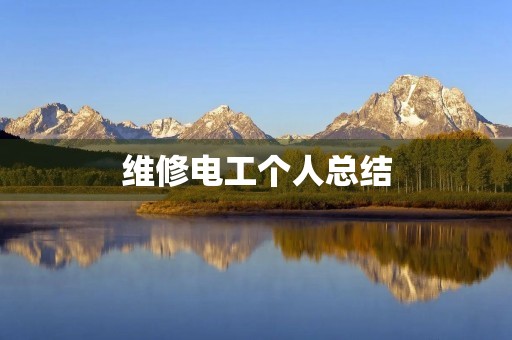 维修电工个人总结