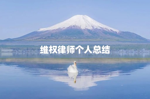 维权律师个人总结
