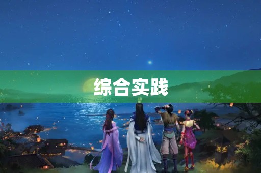综合实践