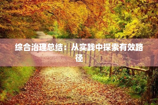 综合治理总结:从实践中探索有效路径