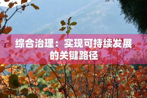 综合治理:实现可持续发展的关键路径 综合治理:实现可持续发展的关键路径