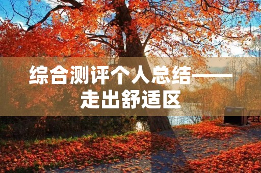 综合测评个人总结——走出舒适区，迎接挑战