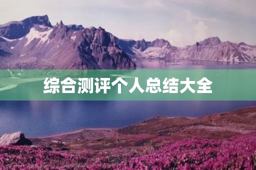 综合测评个人总结大全