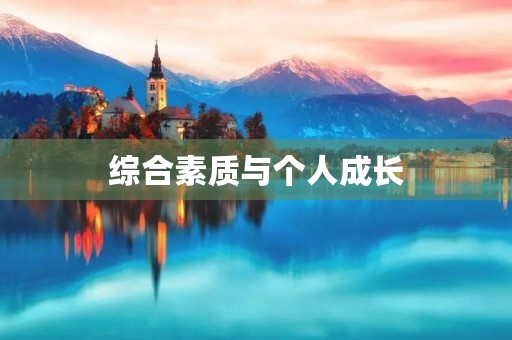 综合素质与个人成长