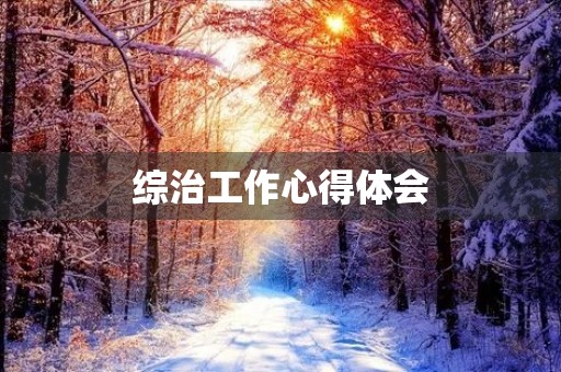 综治工作心得体会