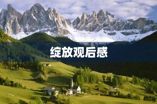 绽放观后感