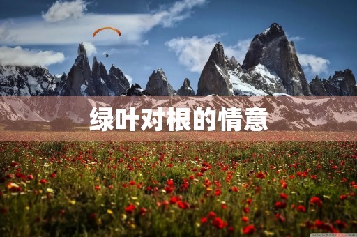 绿叶对根的情意