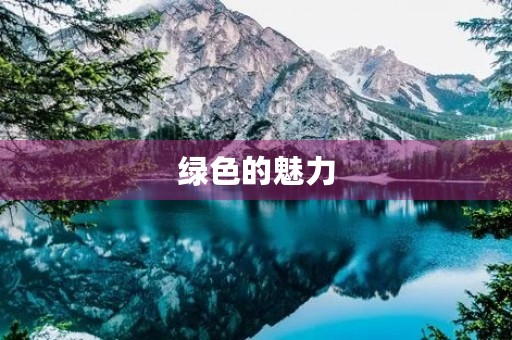 绿色的魅力