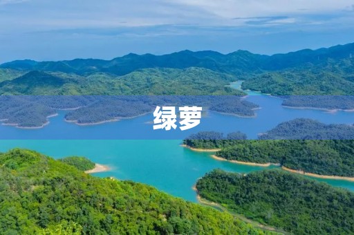 绿萝,我的养生之选 绿萝,我的养生之选