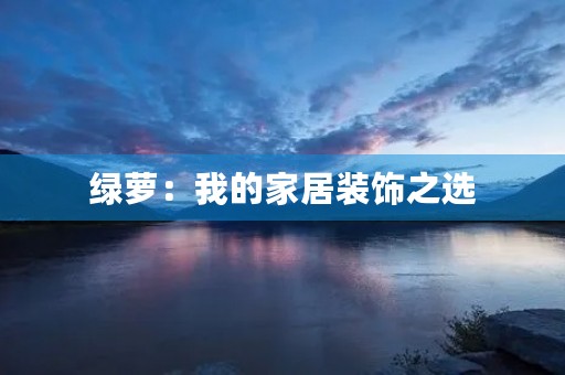 绿萝:我的家居装饰之选 绿萝:我的家居装饰之选