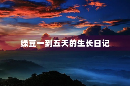 绿豆一到五天的生长日记 绿豆一到五天的生长日记