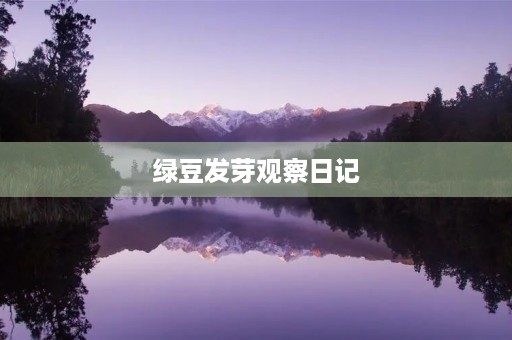 绿豆发芽观察日记