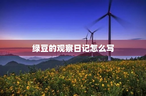 绿豆的观察日记怎么写